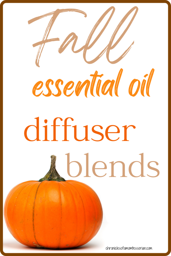 Cozy essential oil diffuser blends to welcome Fall | Chronicles of a ...