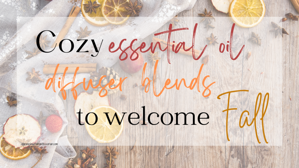 Cozy essential oil diffuser blends to welcome Fall | Chronicles of a ...