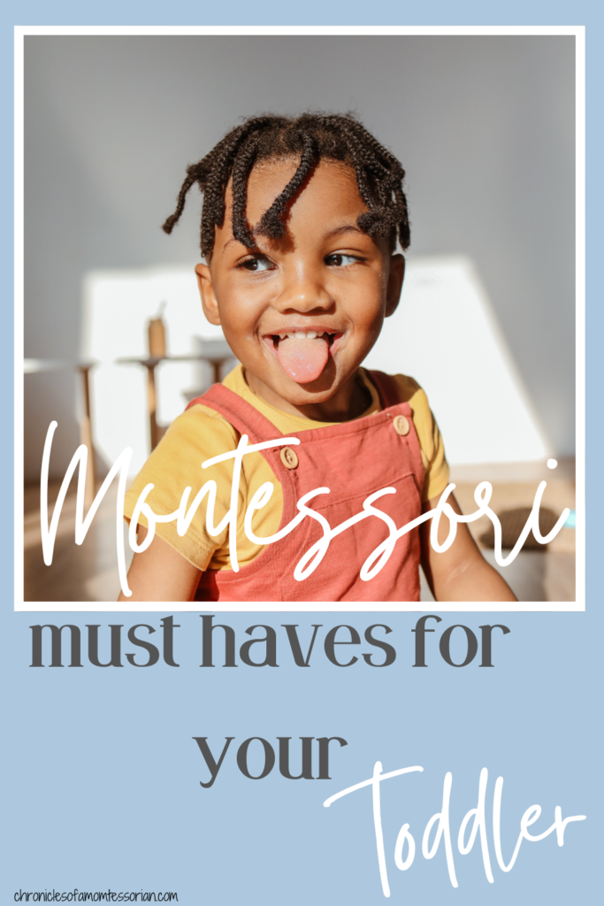 Montessori must haves for busy & active toddlers | Chronicles of a ...